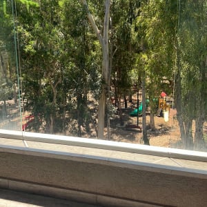 מעקה זכוכית עם נוף לעצים ירוקים