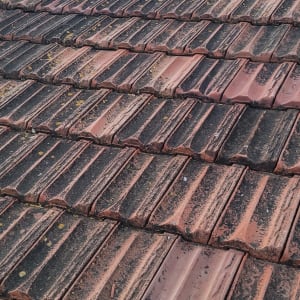 רעפים אדומים עם לכלוך על גג