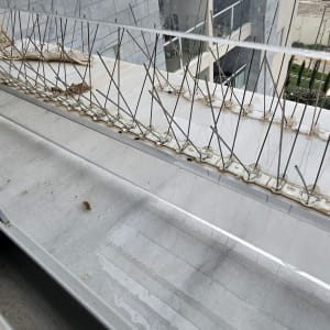 דוקרנים למניעת ציפורים על אדן חלון