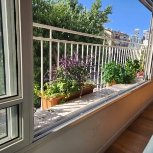 מסגרת חלון פתוחה עם עציצים על אדן החלון