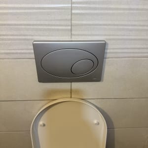 לחצן הדחה בשירותים עם מכסה אסלה