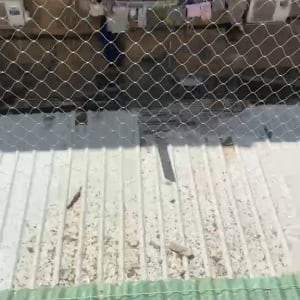 רשת על גג למניעת כניסת יונים