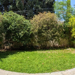 צינור השקיה מגולגל על גלגלת בגינה ירוקה