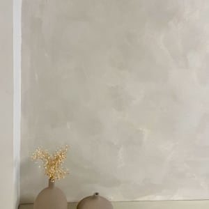 קיר צבוע עם שני אגרטלים דקורטיביים