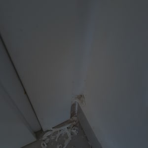 פינת קיר עם לכלוך ופסולת על הרצפה