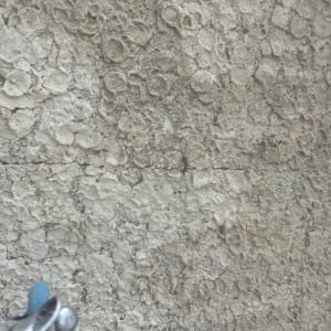 חבל כחול ומכשיר טיפוס על קיר אבן מחוספס