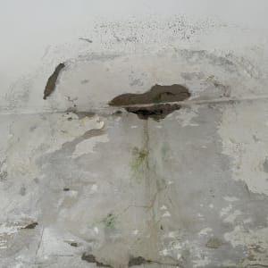 קיר עם סימני רטיבות ועובש גלוי