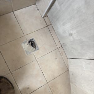 מכסה ניקוז מנירוסטה מותקן ברצפת אריחים בהירים