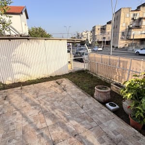 גינה עם עציצים וצמחים ליד כביש