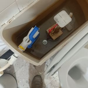 מיכל שירותים פתוח עם חלקים פנימיים גלויים