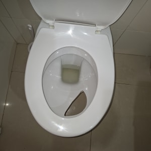 אסלה שבורה עם שבר קרמיקה בתוכה