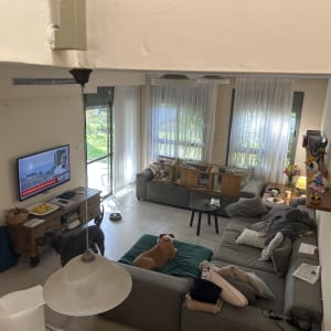 סלון ביתי עם טלוויזיה, ספות וכלב