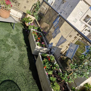 עציצים עם פרחים על מרפסת עם דגלי ישראל