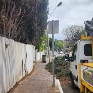 משאית ליד גדר ועצים גזומים על המדרכה
