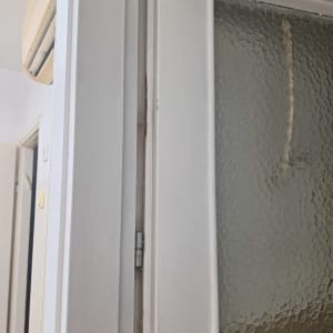 דלת עם זכוכית מחוספסת וציר מתכת