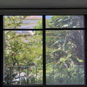 חלון נקי עם נוף של עצים ירוקים