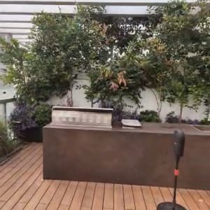 מרפסת עם צמחים וכלי גינון