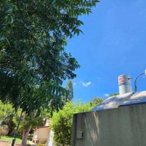 דודי שמש על גג עם שמיים כחולים ועצים ברקע