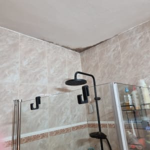תקרת חדר אמבטיה עם סימני רטיבות ועובש