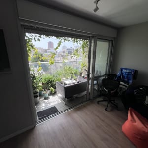 תריסים פתוחים ליד מרפסת עם צמחים