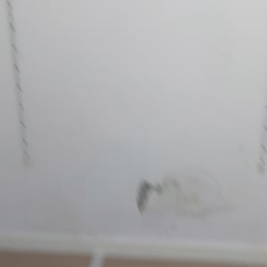 קיר לבן עם כתם כהה בתחתית