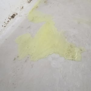 נזילה על רצפה עם סימני רטיבות ועובש