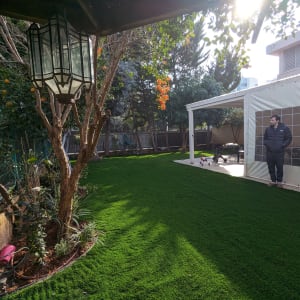 צינור השקיה, עצים ודשא ירוק בגינה