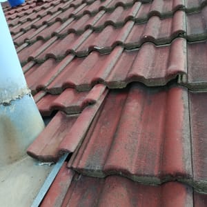 גג רעפים אדום עם דלי כחול