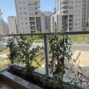 צמחים במרפסת עם נוף לבניינים גבוהים