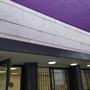 התקנת דוקרנים נגד יונים על אדן שמעל כניסה למבנה