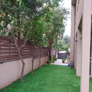 עצים עם פירות ודשא סינתטי בחצר