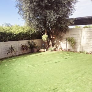 גינה עם דשא מלאכותי ועצים, גדר עץ מסביב