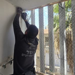 עובד מתקין רשת למניעת יונים במרפסת