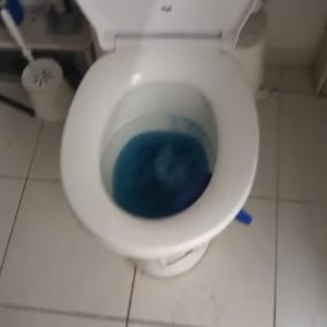 אסלה עם מים כחולים בחדר אמבטיה