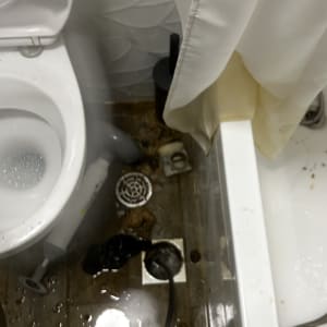 תמונה של שירותים עם בעיית ניקוז מים