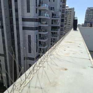 דוקרנים על גג בניין למניעת יונים