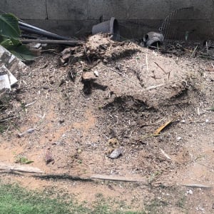 ערימת גזם ליד קיר בטון עם כלי גינון