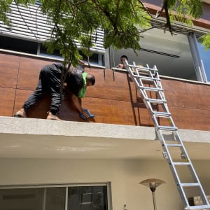 שני אנשים מנקים מרפסת עם סולם ועץ ברקע