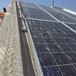 דוקרנים על גג עם לוחות סולאריים למניעת יונים