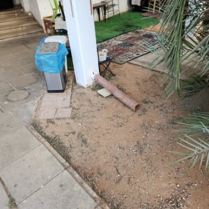 אדמה חשופה עם צינור פלסטיק וענפי דקל