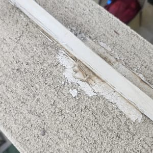 תמונה אינה מציגה עבודה בתחום