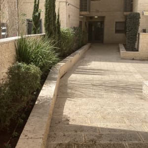 שביל מרוצף עם צמחייה ירוקה בצדדים