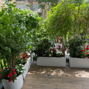 עציצים עם פרחים צבעוניים ועצים קטנים במרפסת