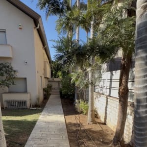 שביל מרוצף בין עצים גבוהים ליד בית
