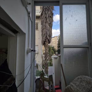 חלון אלומיניום עם מסגרת לבנה