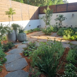 שביל אבן בגינה עם צמחים ועציצים גדולים