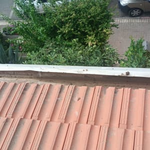 גג רעפים עם צמחייה מסביב