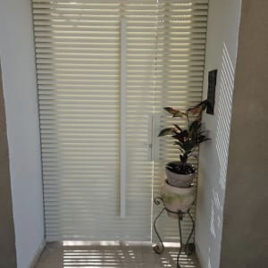 דלת עם תריסים וצמח בעציץ בכניסה לבית