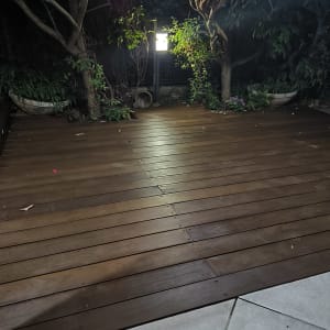 דק עץ מואר בלילה עם עצים מסביב