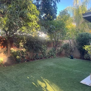 גינה עם עצים וצמחייה ירוקה